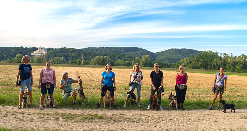 ein neuer weg mit der Pfotenzeit